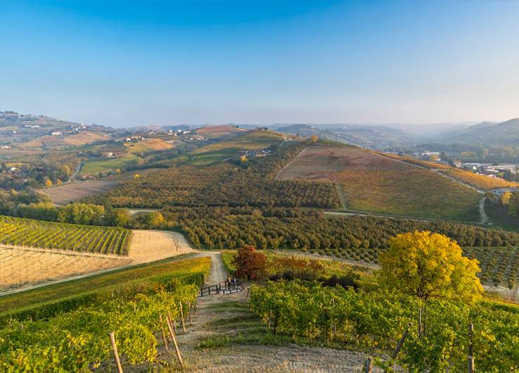 Piedmont